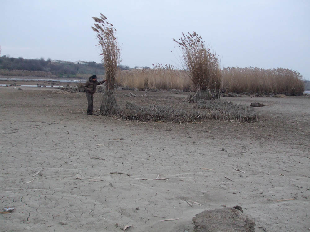 TANCABESTI SECAT - DSCF3454.jpg